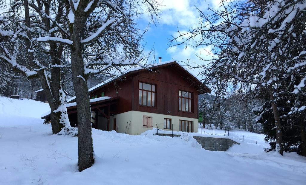Le Green Chalet Villard-sur-Boege Экстерьер фото
