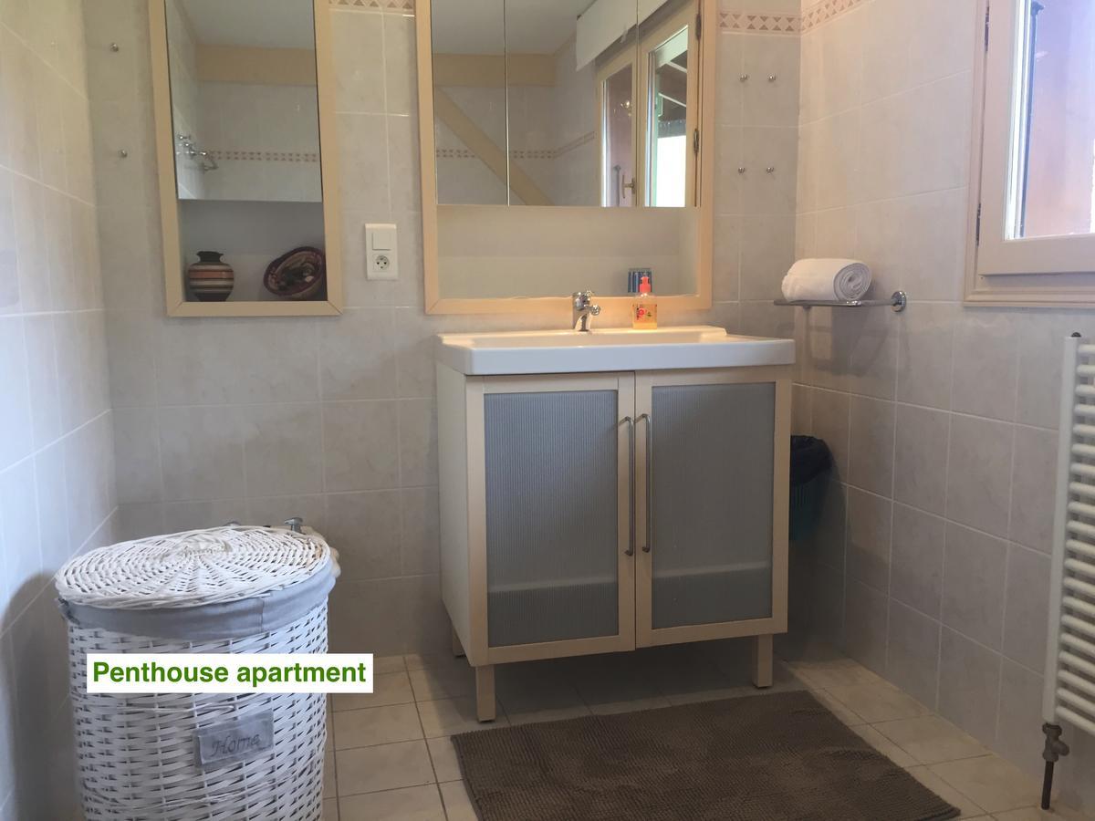 Le Green Chalet Villard-sur-Boege Экстерьер фото