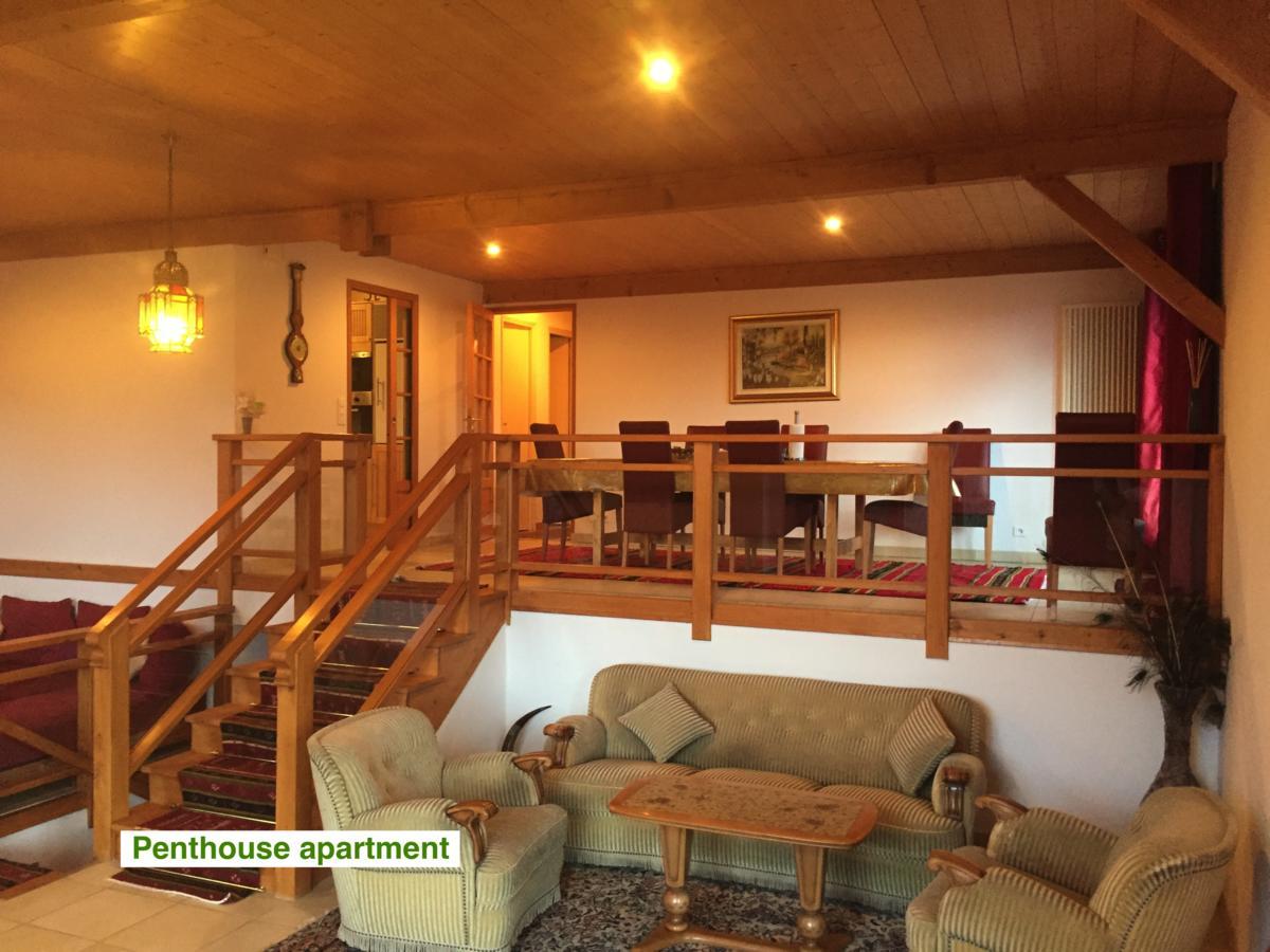 Le Green Chalet Villard-sur-Boege Экстерьер фото