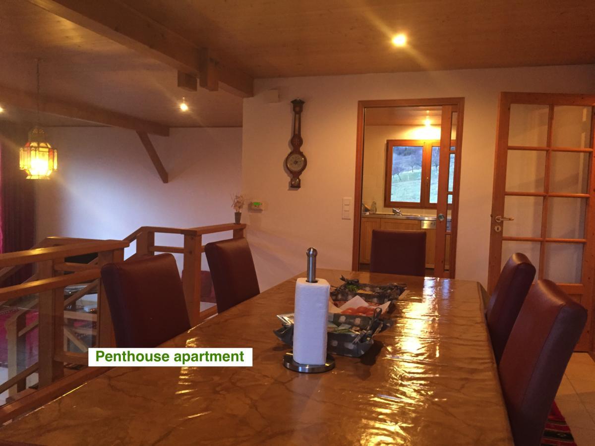 Le Green Chalet Villard-sur-Boege Экстерьер фото