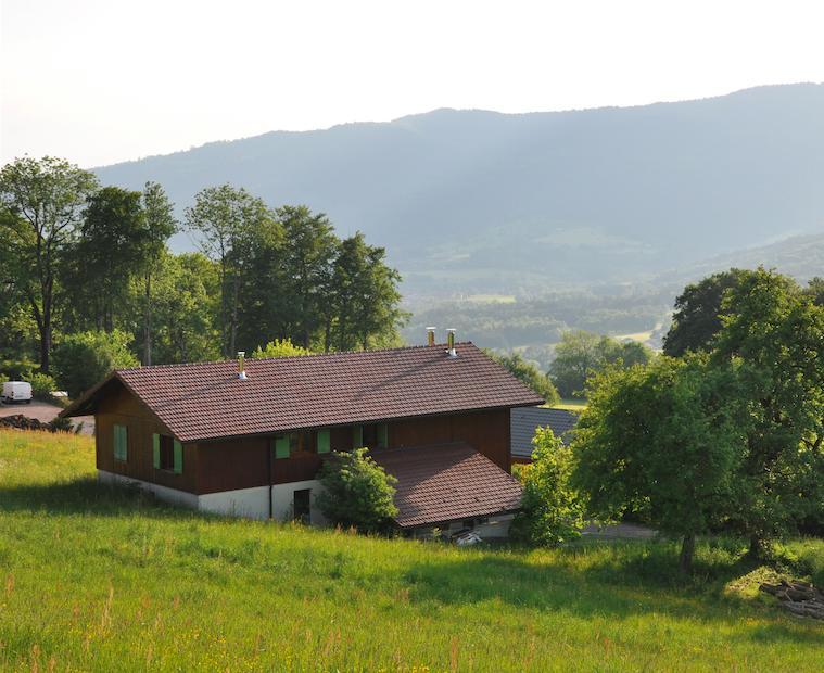 Le Green Chalet Villard-sur-Boege Экстерьер фото