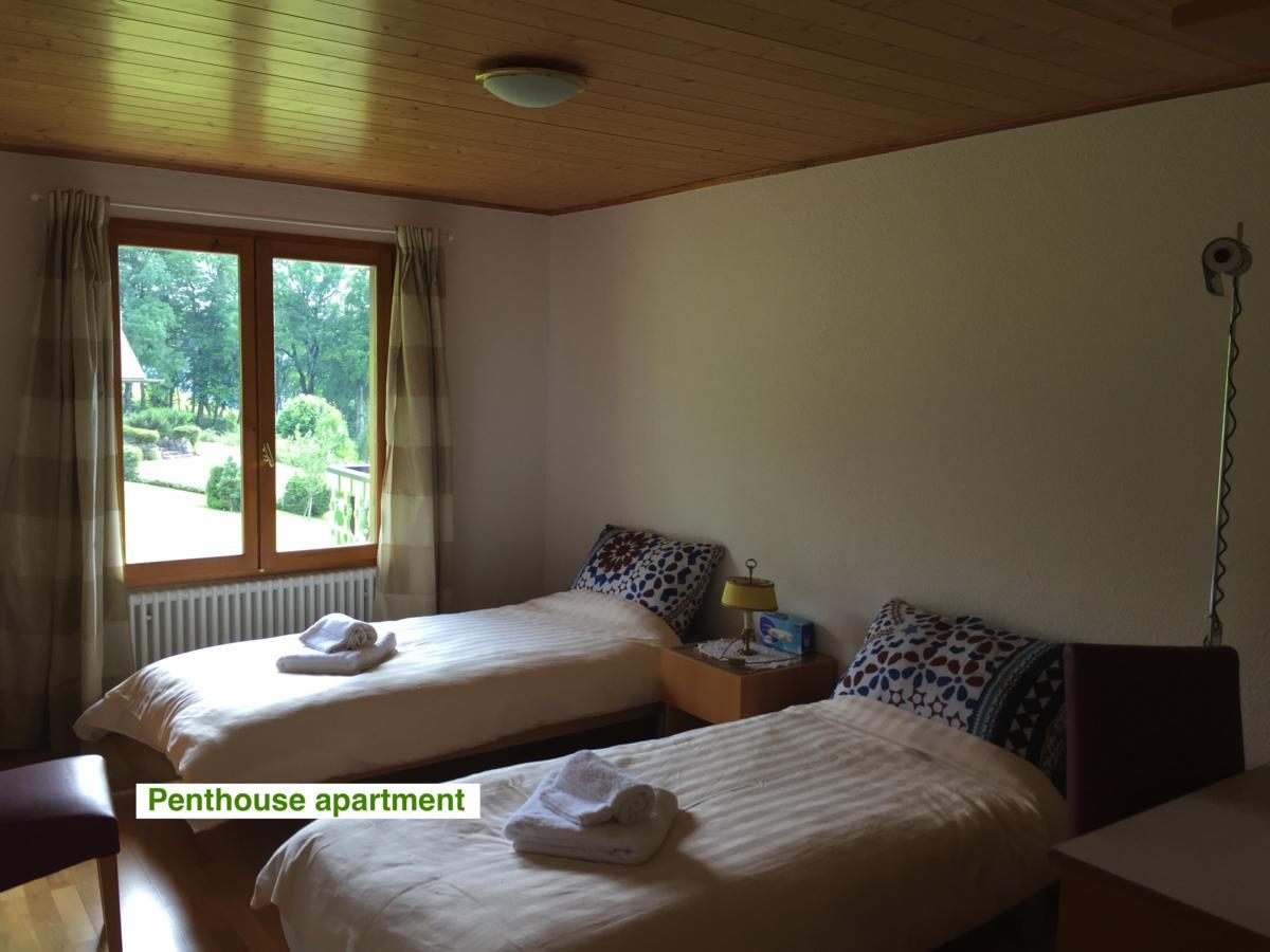 Le Green Chalet Villard-sur-Boege Экстерьер фото