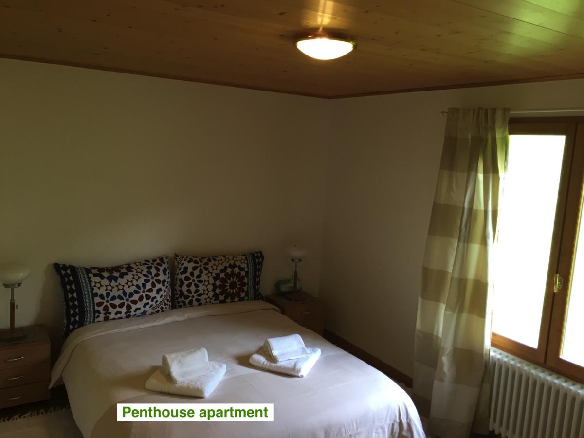 Le Green Chalet Villard-sur-Boege Экстерьер фото