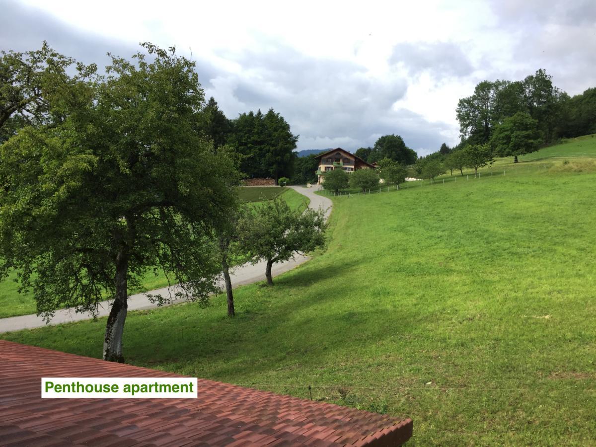 Le Green Chalet Villard-sur-Boege Экстерьер фото